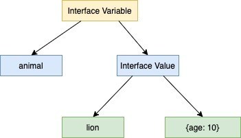 an interface variable is represented by a type and value
